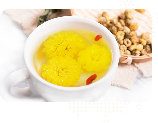 始建于2015年，實(shí)力雄厚