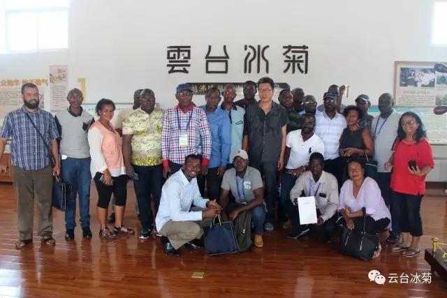 目測(cè)這朵菊花要火，國(guó)外專家為它頻頻而來(lái)······